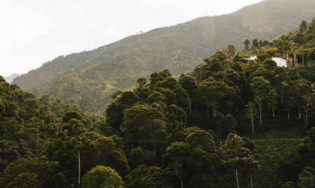 OUR TRIP TO COLOMBIAN AMAZON, AND SOME INSIGHTS ABOUT THE MAKING OF OUR “ YOI & IPI” COLLECTION.