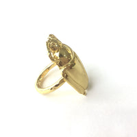 Cucarrón Ring