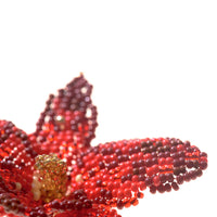 Orquídea Roja Earrings